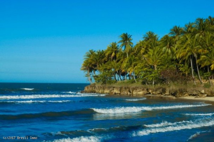 der Strand von Taiba ist ein Strand im brasilianischen Bundesstaat Ceara. Es befindet sich 76km von Fortaleza, in der Gemeinde São Gonçalo do Amarante. Taíba bedeutet 